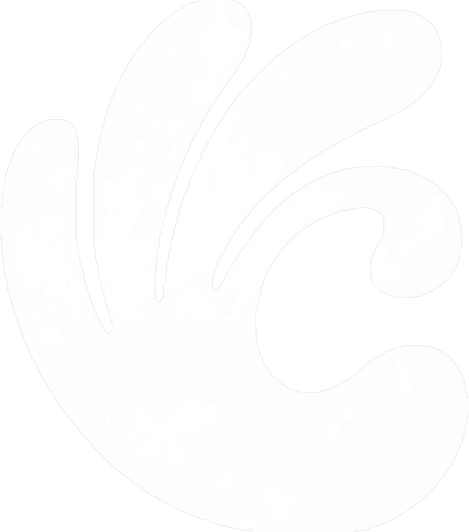 Capiche logo default